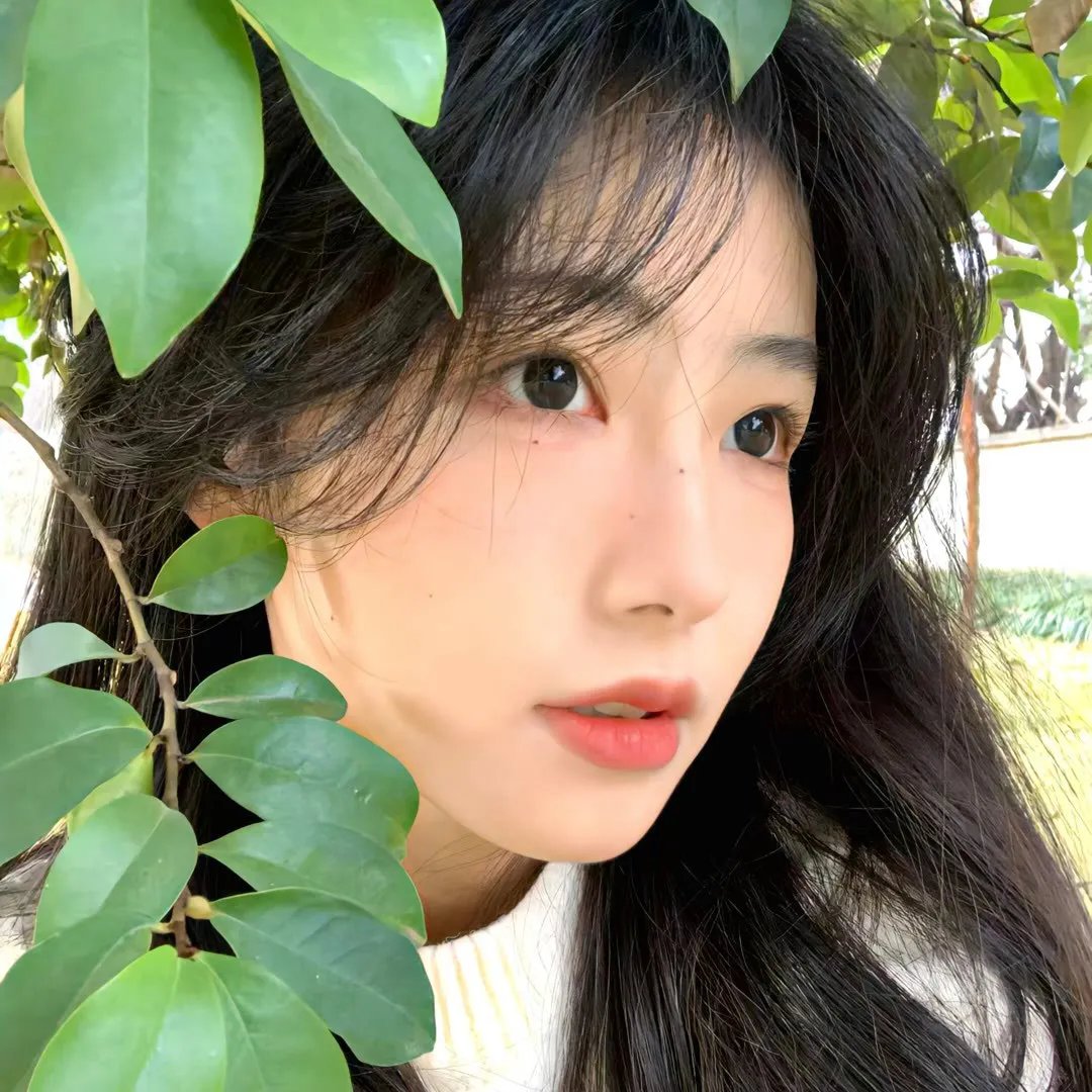 与僵尸同行